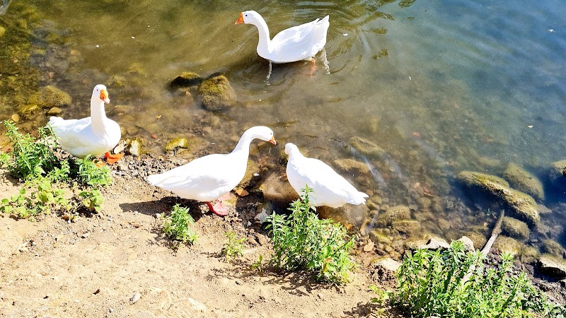 Tranquil Escape at Lake Parz - Lake Parz