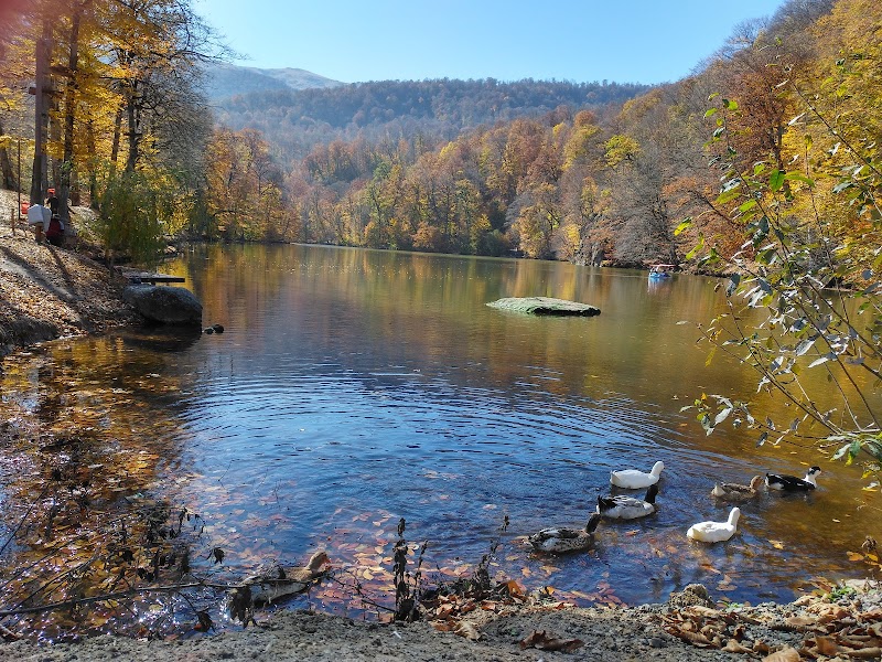 Tranquil Escape at Lake Parz - Lake Parz