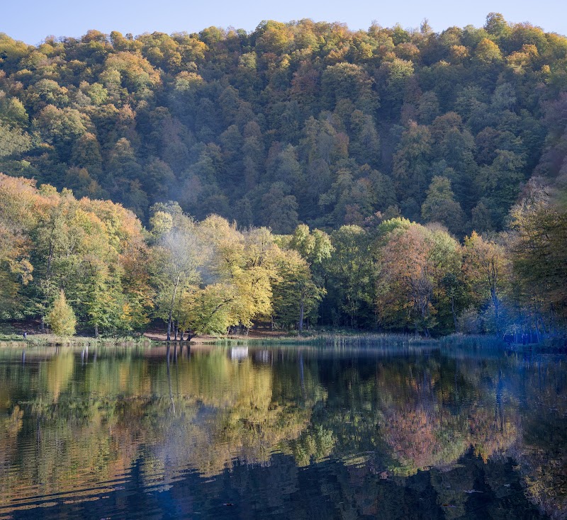 Tranquility at Lake Gosh - Lake Gosh