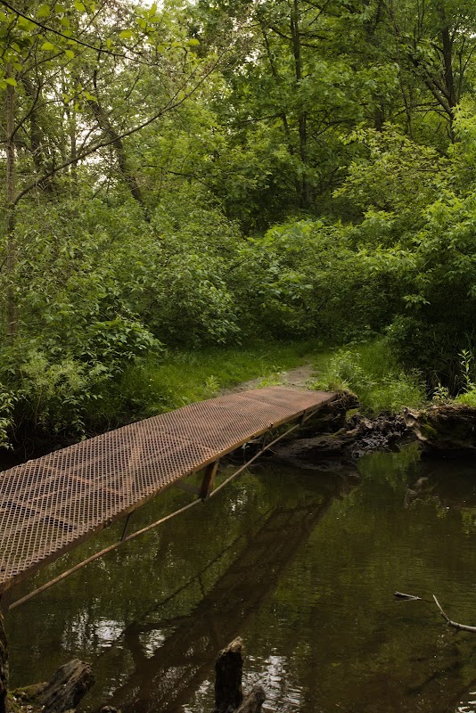 Bridge to Nature: Discover Devil's Bridge surrounding landscape