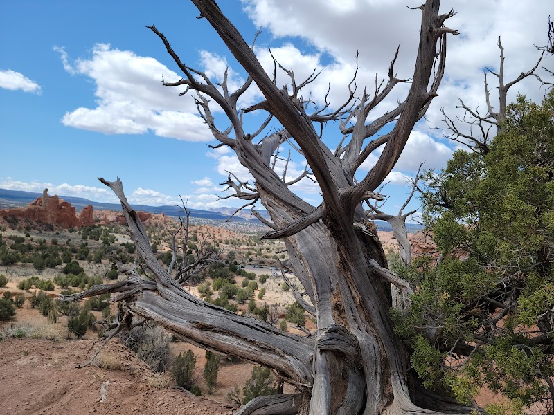 Sandstone Wonder in Kodachrome Basin outdoor detail