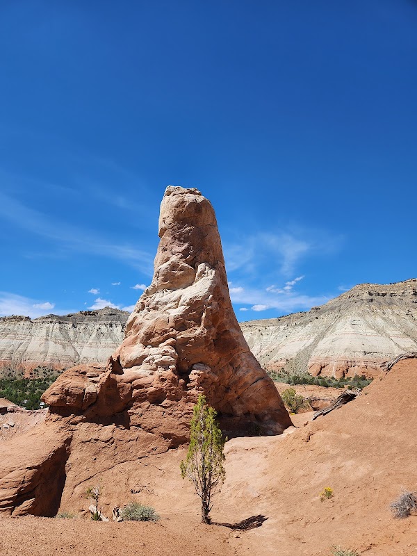Sandstone Wonder in Kodachrome Basin surrounding landscape