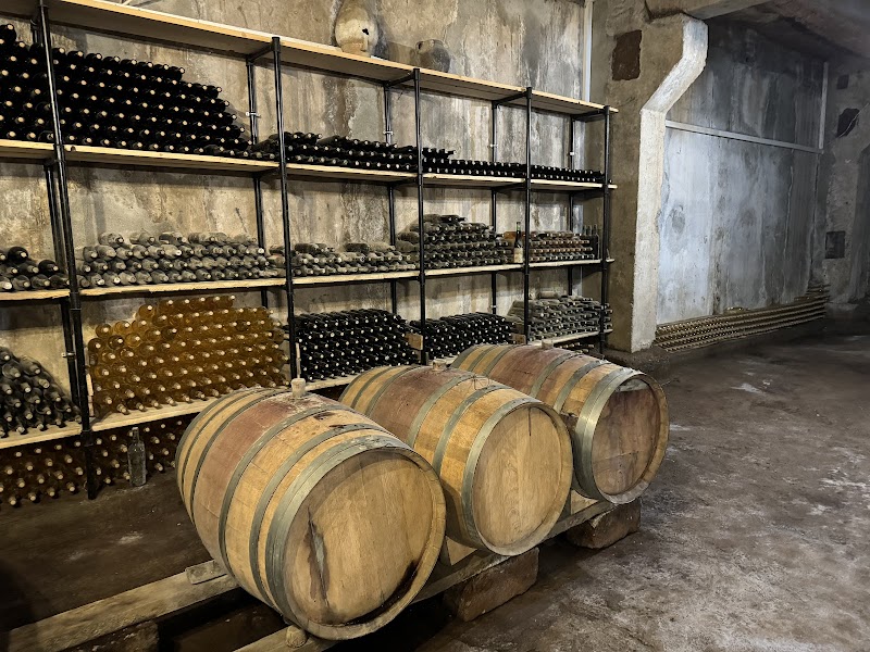 Areni Wine Winery: A Sip in Time - Areni Wine Winery