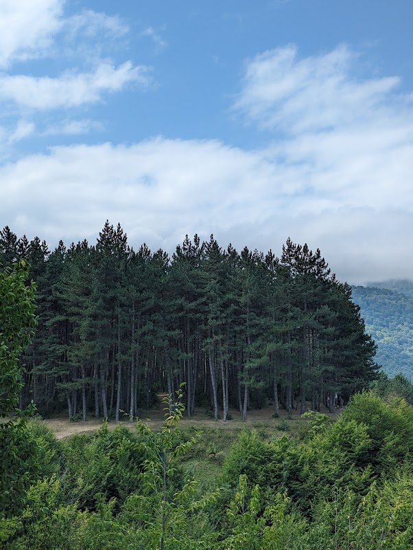Fantastic View on Dilijan: Armenia's Scenic Gem - Fantastic view on Dilijan