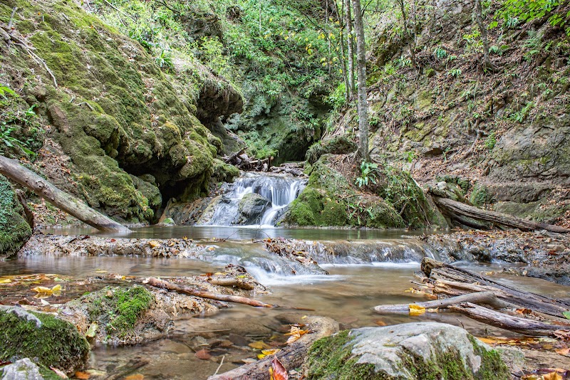Hidden Gem in Dilijan: Թաքնված ջրվեժ