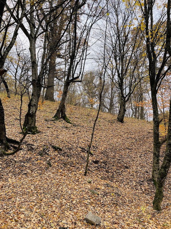 Serenity by the Waters: Lake Parz - Lake Parz