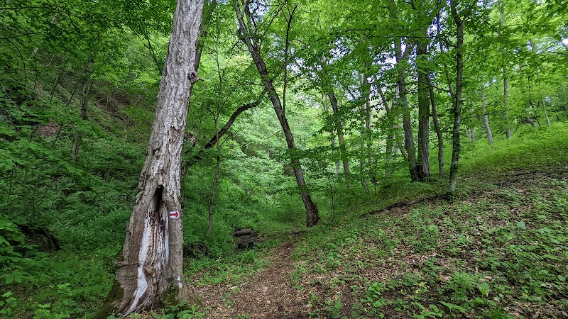 Whispering Waterfall: Nature's Quiet Marvel in Dilijan - Whispering Waterfall