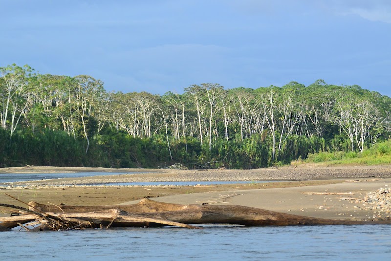 Discover the Heart of the Amazon: Park Ranger Post Limonal, Manu National Park - Park Ranger Post Limonal-Manu National Park