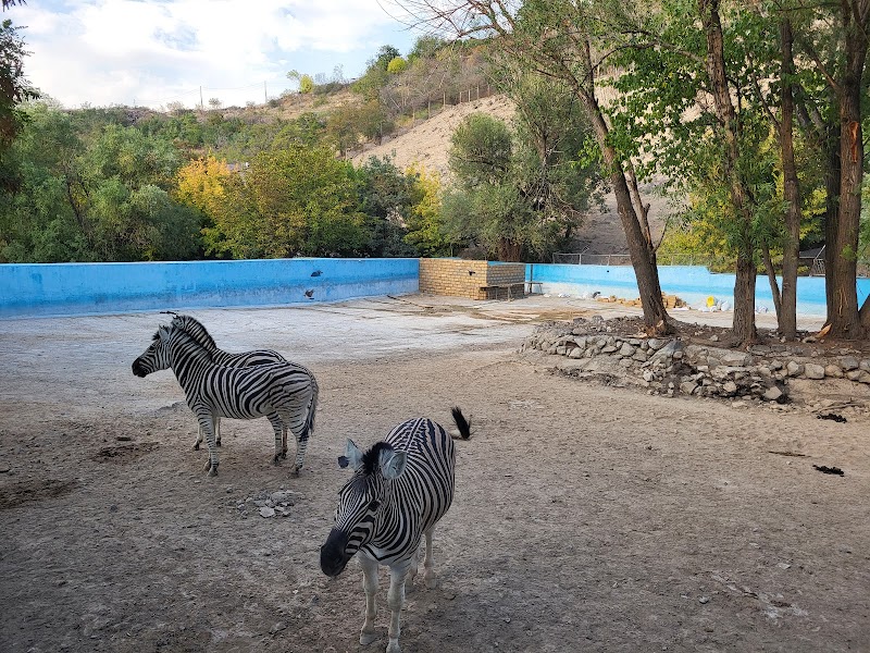 Discover the Charm of Yerevan Zoo - Yerevan Zoo