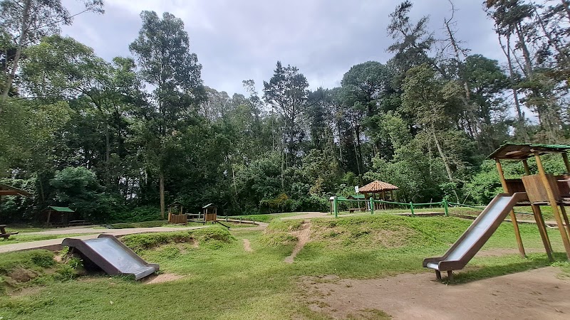 Forest Adventures at La Armenia Park - la Armenia Park