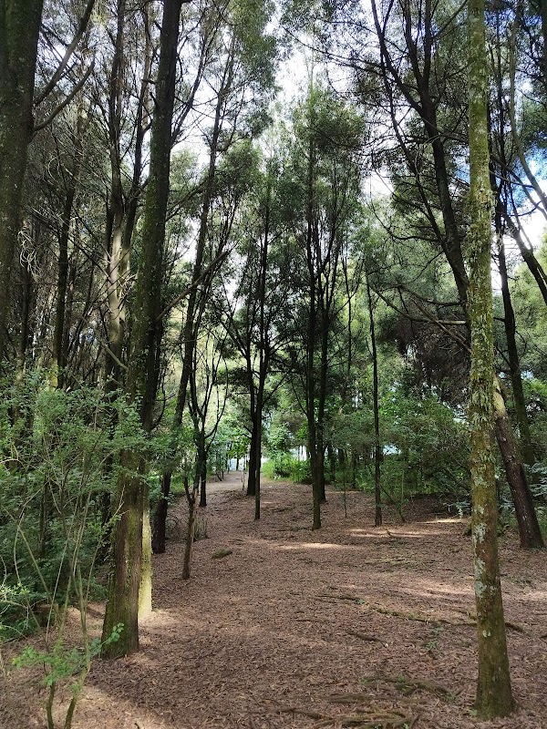 Forest Adventures at La Armenia Park - la Armenia Park
