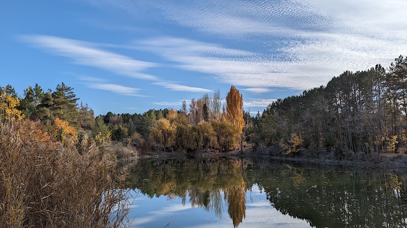Nature's Haven: Jrvezh Forest Park - Jrvezh Forest Park