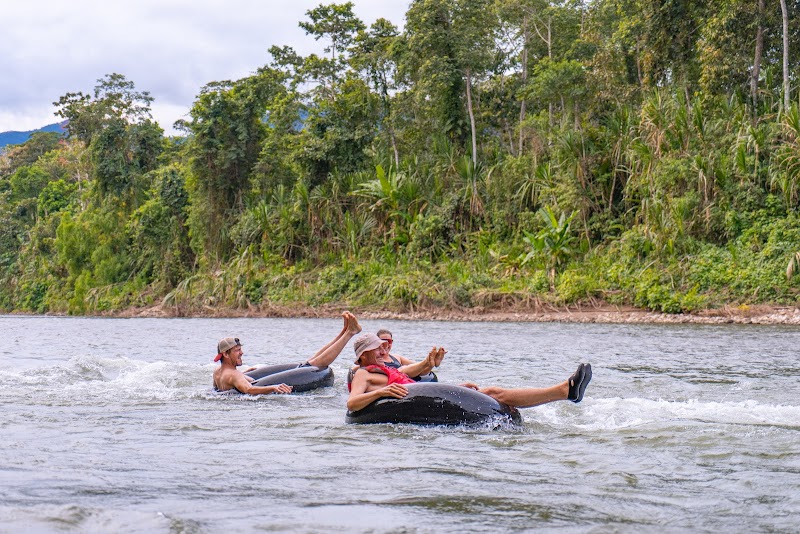 Treehouse Retreat in Manu Wildlife, Peru - Manu Wildlife Peru - Treehouse INN