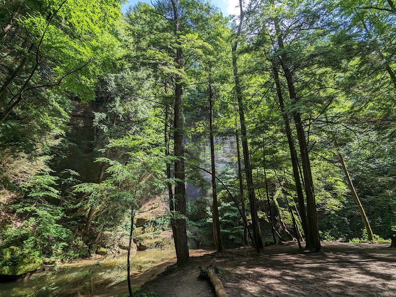 Waterfall Wonders: Cedar Falls in Hocking Hills - Cedar Falls