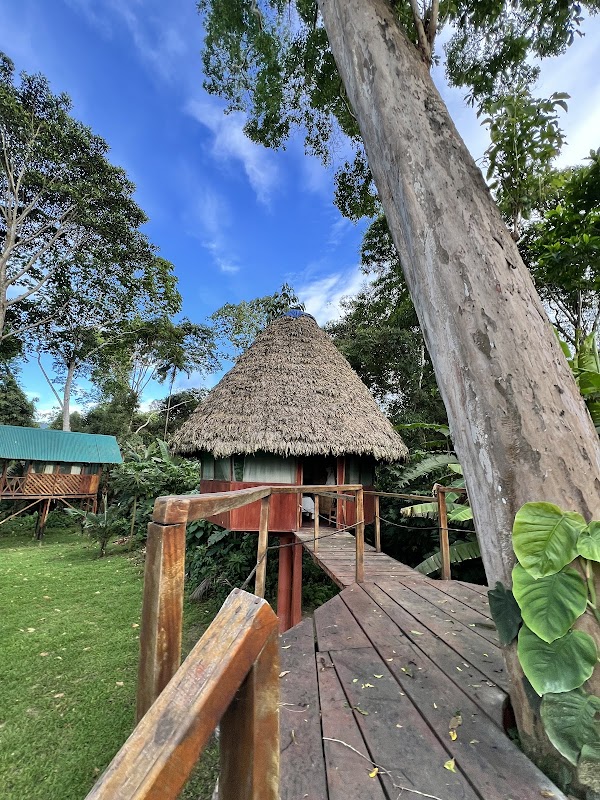 Discover the Wonders of the Manu Rainforest, Peru - Manu Rainforest Perú