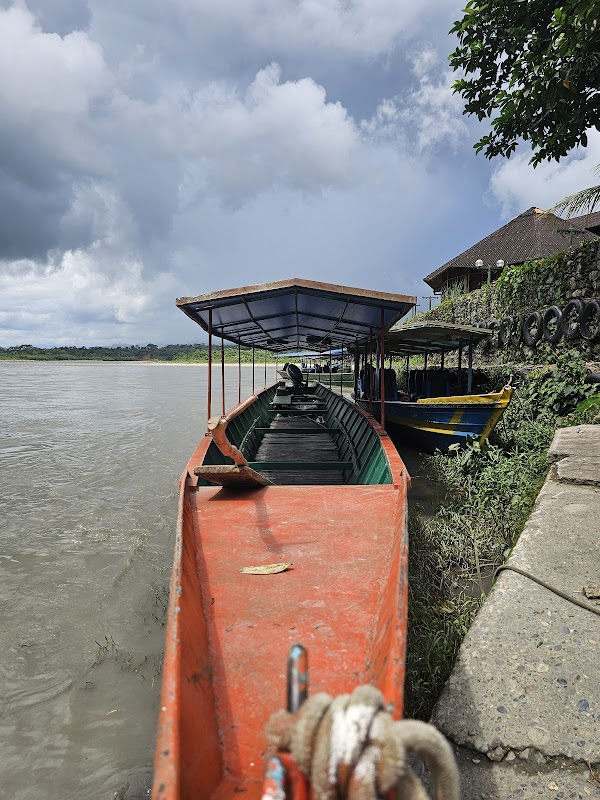 Discover the Wonders of the Manu Rainforest, Peru - Manu Rainforest Perú