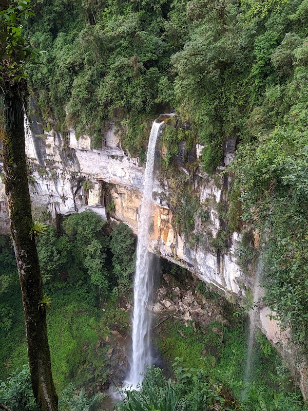 Majestic Waters of Yumbilla Falls - Yumbilla Falls