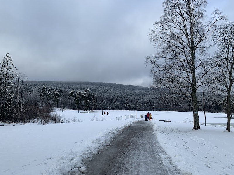Serenity at Sognsvann Lake, Oslo - Sognsvann lake