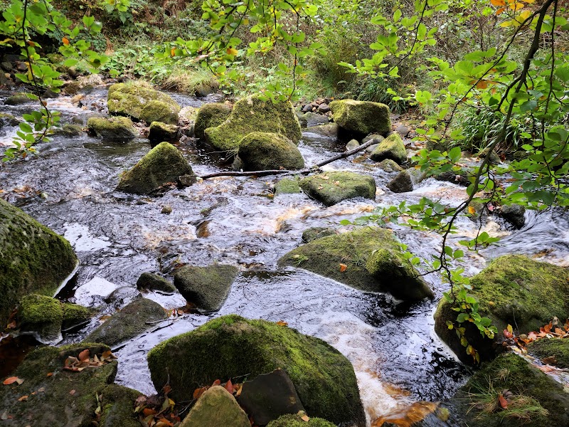Waterfall Wonders in Yorkshire outdoor detail