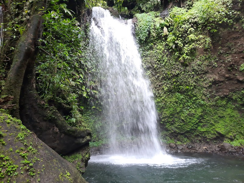 A Cascading Wonder: Salton Waterfalls, Dominica - Salton Waterfalls