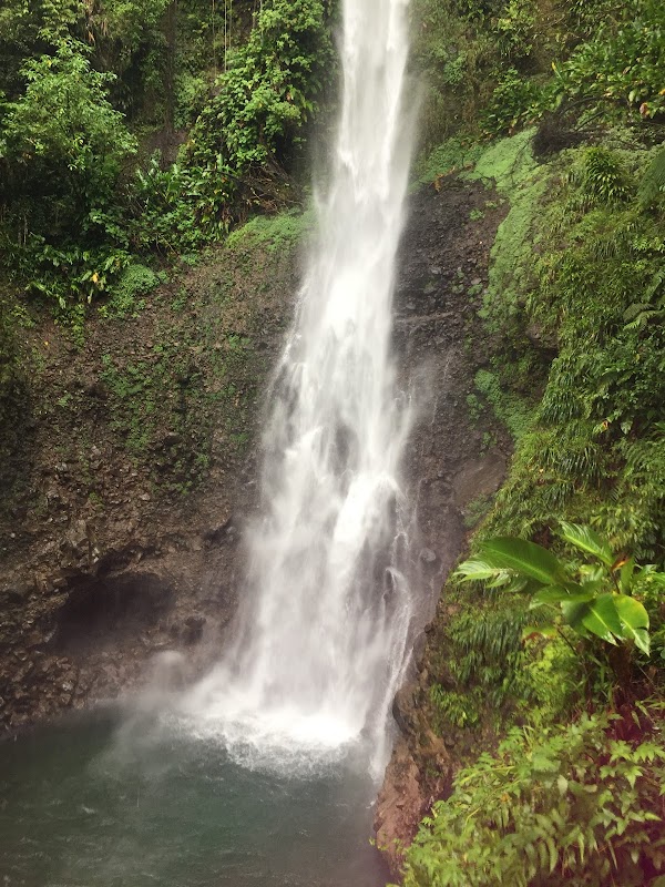 Majestic Middleham: Nature's Cascade in Dominica - Middleham waterfalls