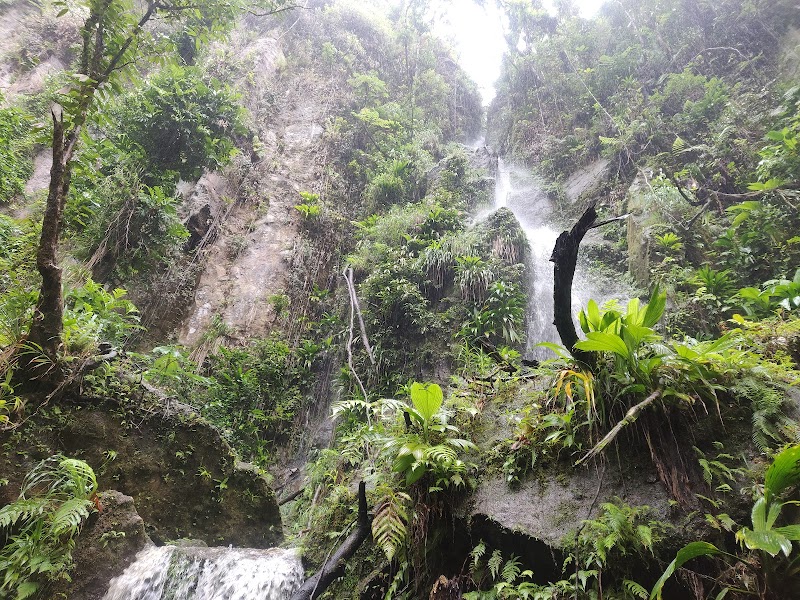 Majestic Middleham: Nature's Cascade in Dominica - Middleham waterfalls