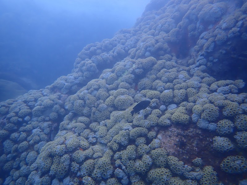 Enchanting Waters of Rodney's Rock - Rodney's Rock