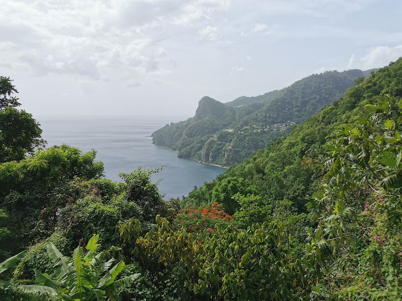 Tropical Treasures of Dominica - Dominica