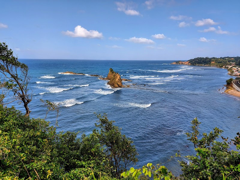 Tropical Treasures of Dominica - Dominica