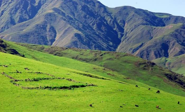 Discover the Serene Landscapes of Tafí del Valle - Tafí del Valle
