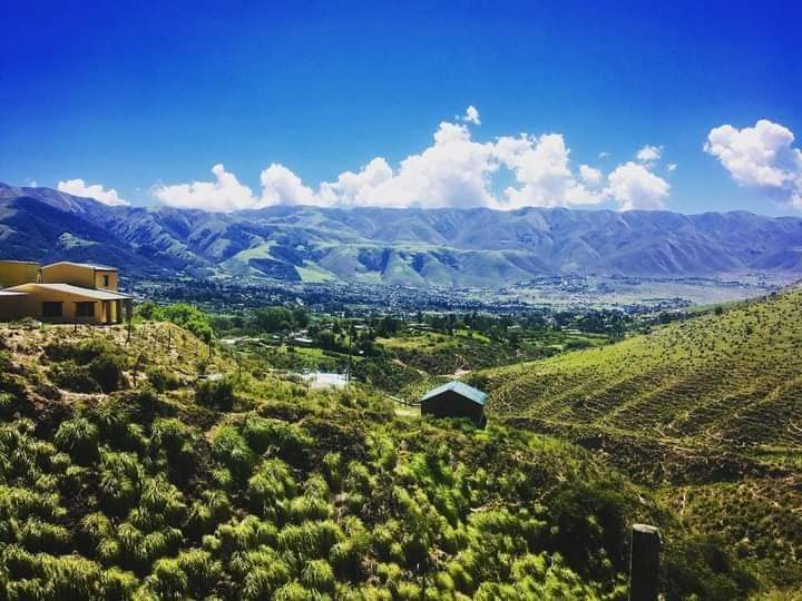 Discover the Serene Landscapes of Tafí del Valle - Tafí del Valle