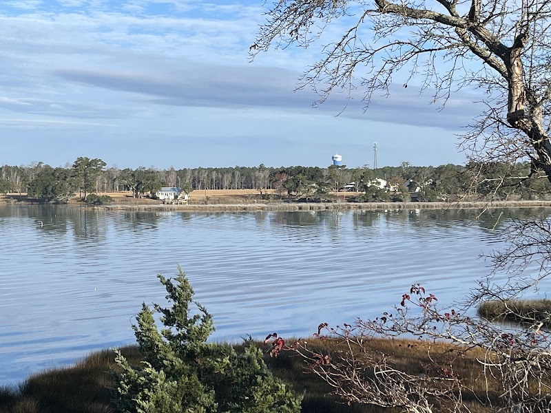 Sand and Serenity at Croatan National Forest surrounding landscape