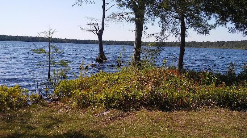 Bladen Lakes State Forest adventures