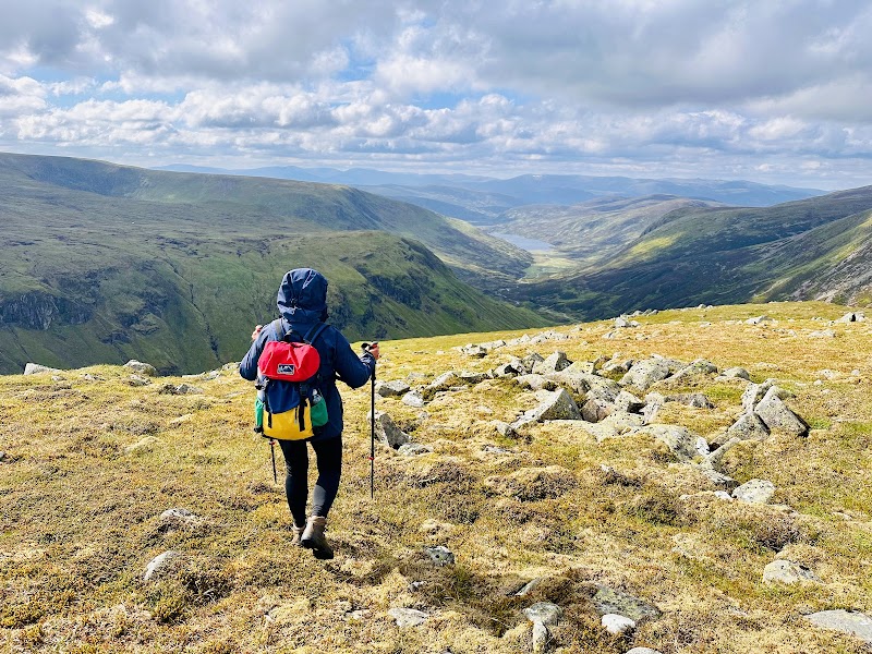 Majestic Peaks: Tolmount's Wilderness outdoor detail