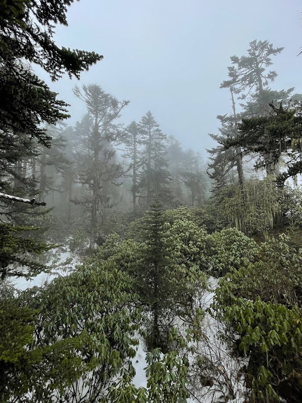 Hailuogou Glacier's Majestic Wonder - Hailuogou Glacier Forest Park