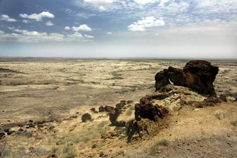 Wildlife Wonders in Sibiloi National Park - Sibiloi National Park