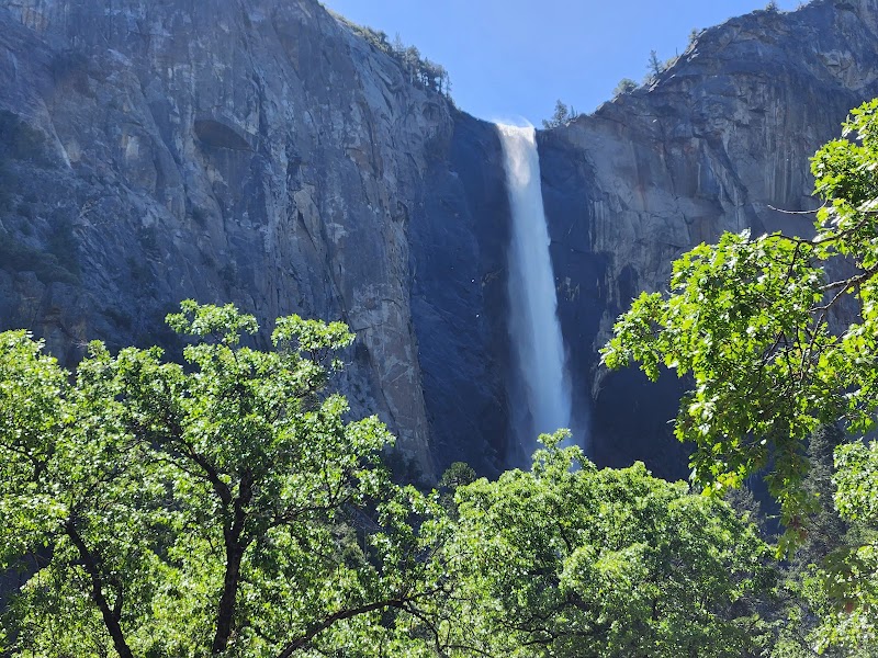 Majestic Camp 4: Yosemite Valley's Climbing Haven - Camp 4 Yosemite Valley