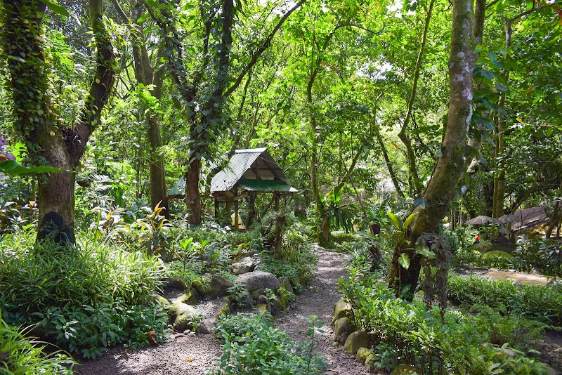Thumbnail 9