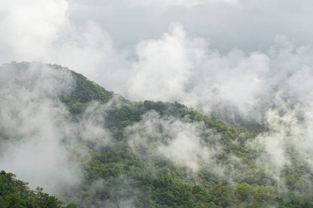 Misty Peaks of Brazil Hill - Brazil Hill
