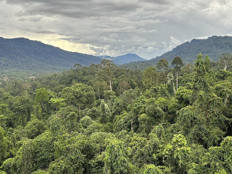 Maliau Basin Conservation Area adventures