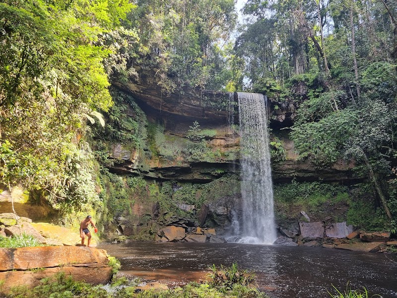 Nature's Hidden Gem: Maliau Basin Conservation Area - Maliau Basin Conservation Area