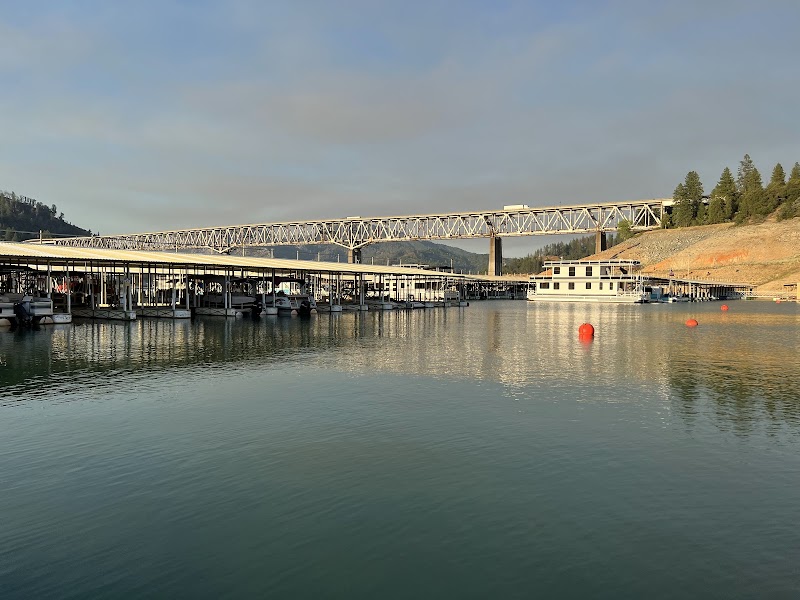 Serene Waters of Shasta Lake - Shasta Lake