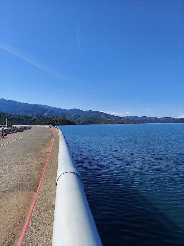 Serene Waters of Shasta Lake surrounding landscape