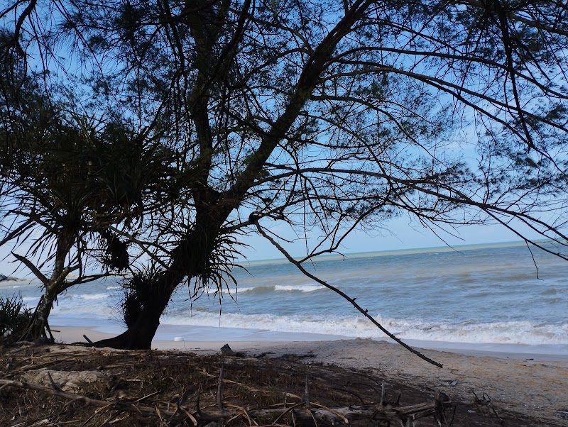 Tranquility at Pelindung Bay - Pelindung Bay