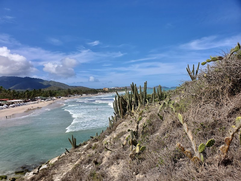 Sandy Shores and Cacti: Discover Playa Parguito - Playa Parguito