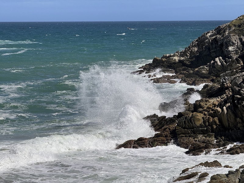 Sandy Shores and Cacti: Discover Playa Parguito - Playa Parguito