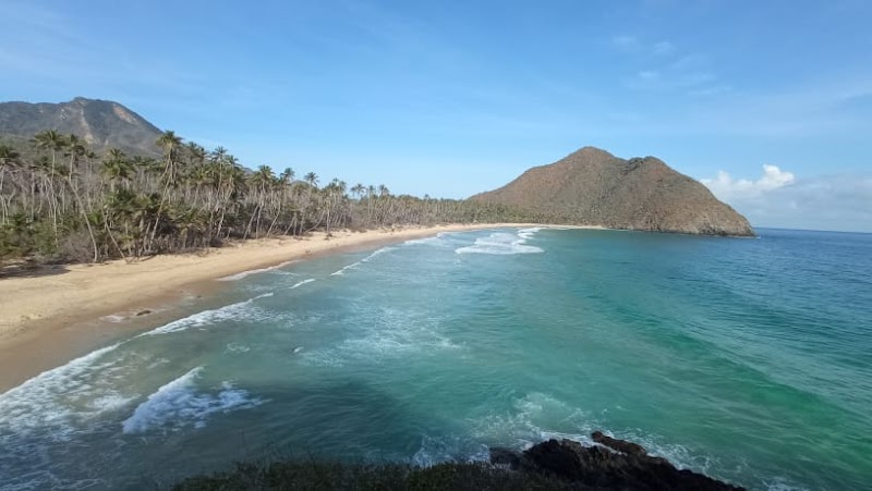 Pristine Shores of Playa Grande, La Guaira - Playa Grande