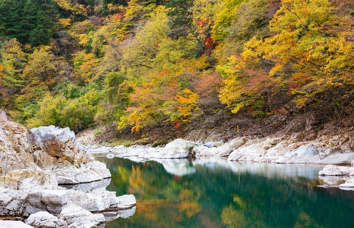 Nature's Masterpiece: Nikko's Natural Wonders - Nikko
