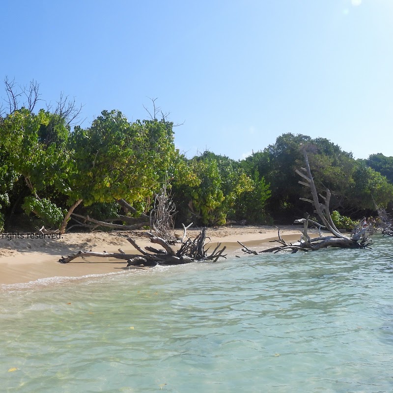 Beach Paradise - Playa Cayo Muerto - Playa Cayo Muerto