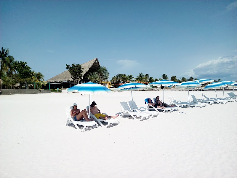 Sun-Kissed Shores of Coche Beach - Coche Beach